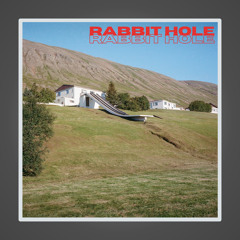 Rabbit Hole