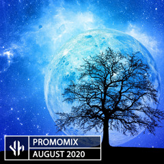Promo Mix - AUGUST 2020