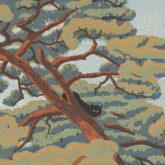 soy un corpóreo y dentro de mi hay una actriz recién titulada llorando - Diego Lorenzini | cover