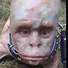 ëбнулся