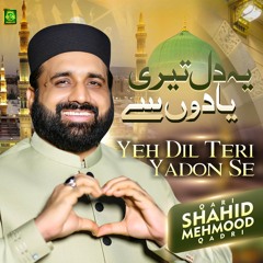 Yeh Dil Teri Yadon Se