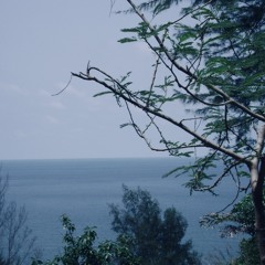 YUNGTARR - Sea Side