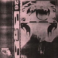 DJ BIG GUNS - A2. CELESTIAL RIMSHOT ["SELF DIAGNOSIS"_PUPPY26_CS]