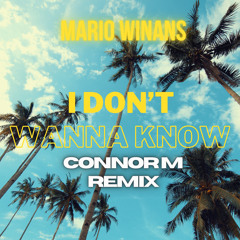 Mario Winans - I Don't Wanna Know (ConnorM Remix)
