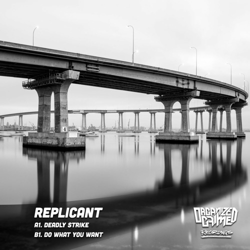 Replicant - Do What You Want [Clip]