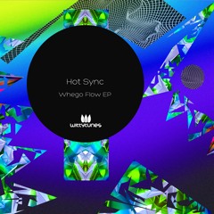 WT458 Hot Sync - Whego Flow EP