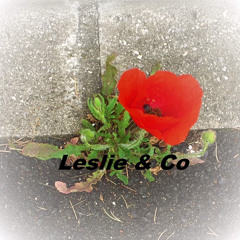 La Vie Partout - Leslie & Co