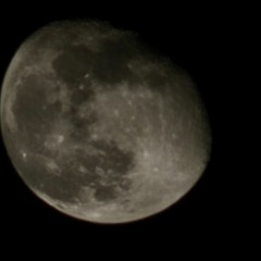 Sam Goku Bloom slowed