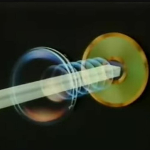 End Of Collective Selection