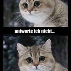 Geteiltes Leid😱