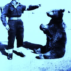 Fragments to bear