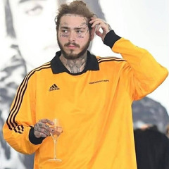 Post Malone - moccasins ft skrilex