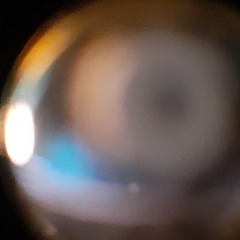 arriving to earth