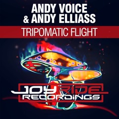 Andy Voice & Andy Elliass - Tripomatic Flight