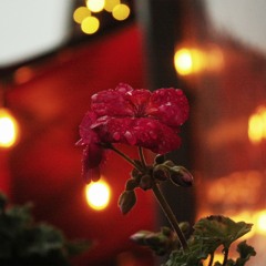 Наизусть - RTiN, DudeTinTS