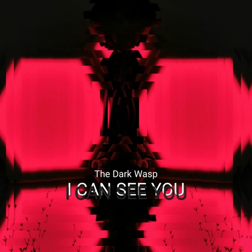 I Can See You