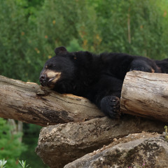 It does not matter FINAL