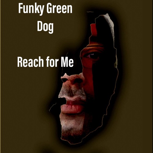 Jesse G STEM Dub Reach For Me - Funky Green Dogs