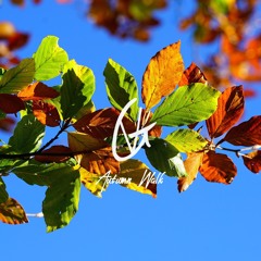 Autumn Walk