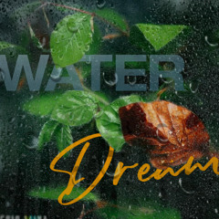WATER DREAM  final version by REGIS MINA 2024