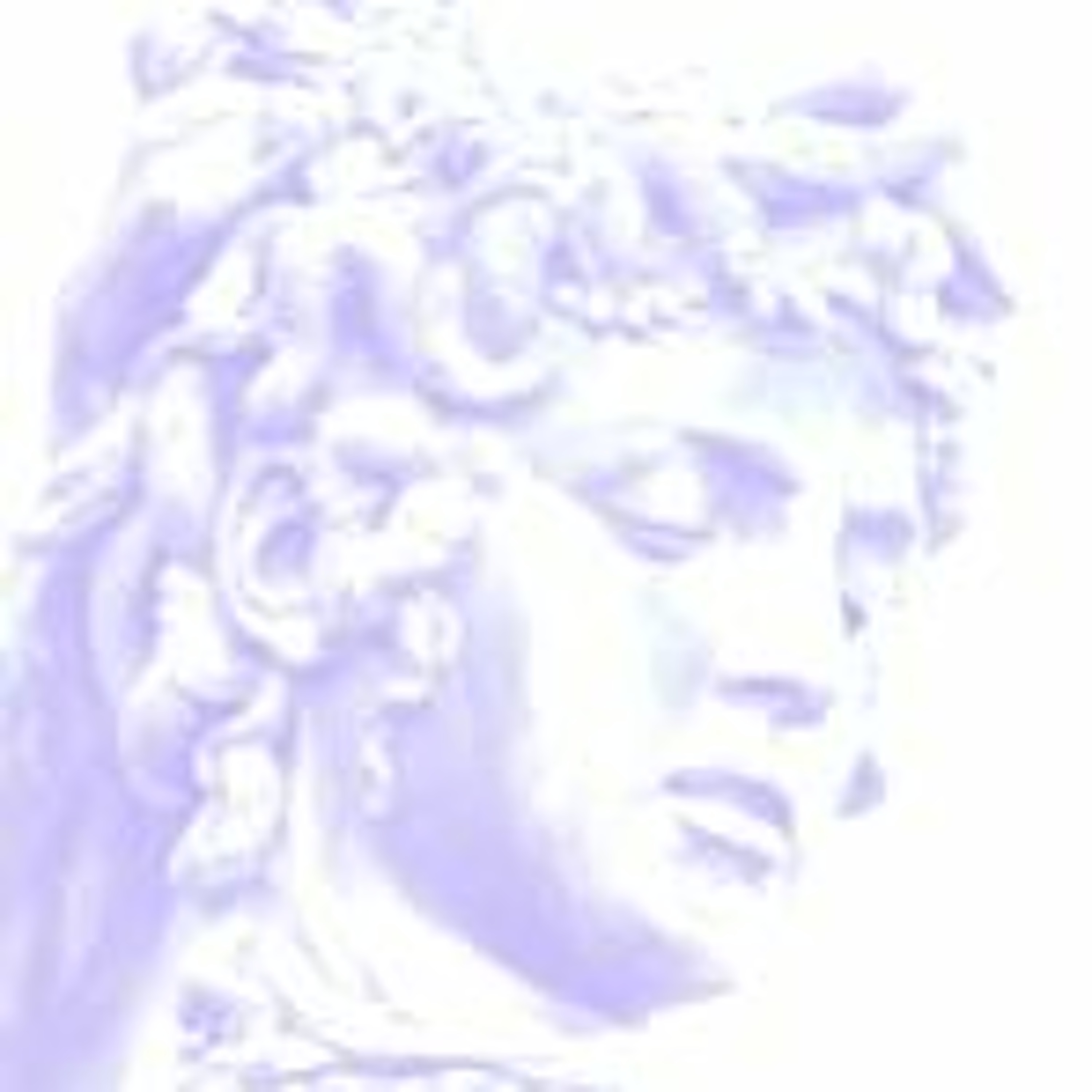 Medusa Tête episode artwork