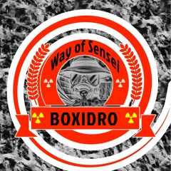 Way of Sensei-Boxidro