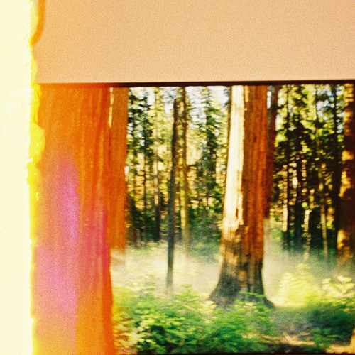 Where to go from here