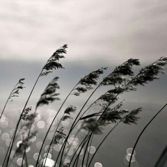 all about you - povitrya