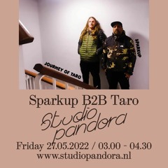 Sparkup B2b Taro In Studio Pandora