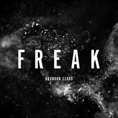 🜅 🝈 🝗 🝗 🜁 🜹  -  FREAK [Missy Elliott & Chic Remix]