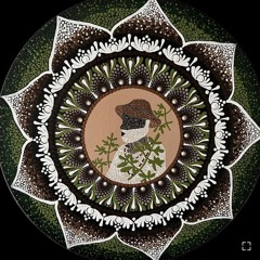 Amor de Preto e Preta Velha.mp3