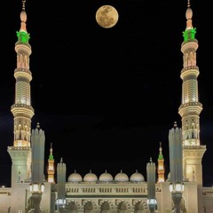 بديع الزمانِ  وبدرَ الظّلامِ ...  ﷺ💚    |ربيع حافظ