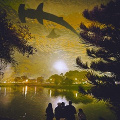 Lui calibre (Aria1k)