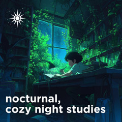 Nocturnal, cozy night studies