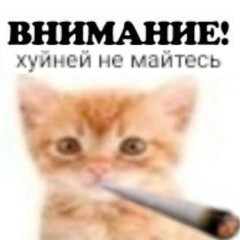 Кто я? 1.1х Стас Ярушин