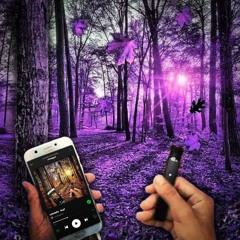 canada leaf (prod. ax14)