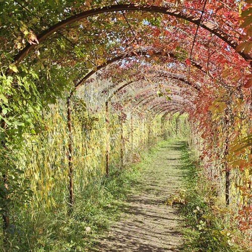 Sul on aega/You have time