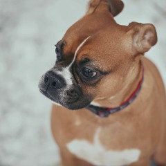 Gustavo Santaolalla - De Ushuaia A La Quiaca