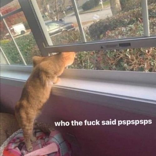 (HEY SIRI WHAT TIME IS IT IN) KYOTO OCT31