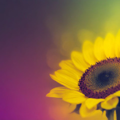Just for You (1)