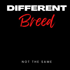Different Breed