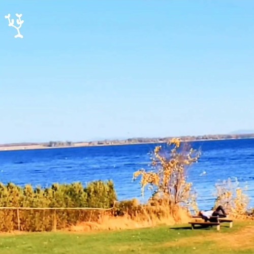 ¥iB - the echoes get louder when im roaming alone