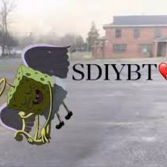 sdiybt