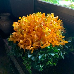 上师开示: 打坐和修窍决中的种种误区