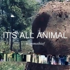 It's All Animal