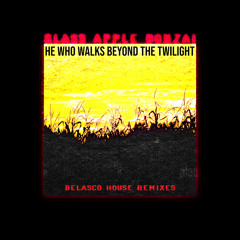 Beyond the Twilight (Belasco House Remix)