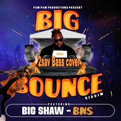 2sav - Big Shaw Bns cover