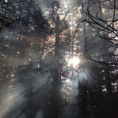 La última vez (Prod.Jk8)