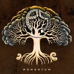 Momentum (Original mix)