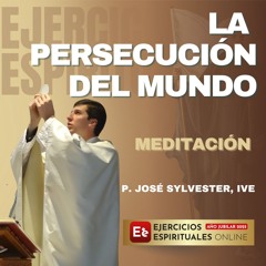Meditacion-La-persecución-del-mundo-Encarnacion-II-P-Jose-Sylvester